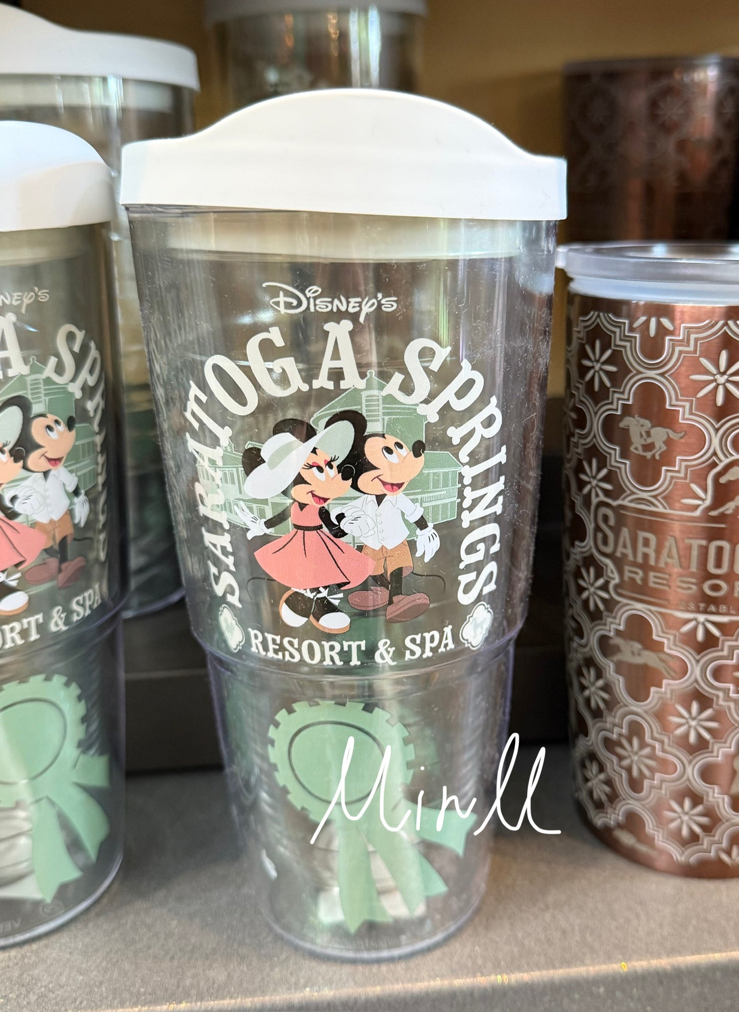 【Tervis】Walt Disney World Saratoga Springs Resort&Spa Plastic Tumbler