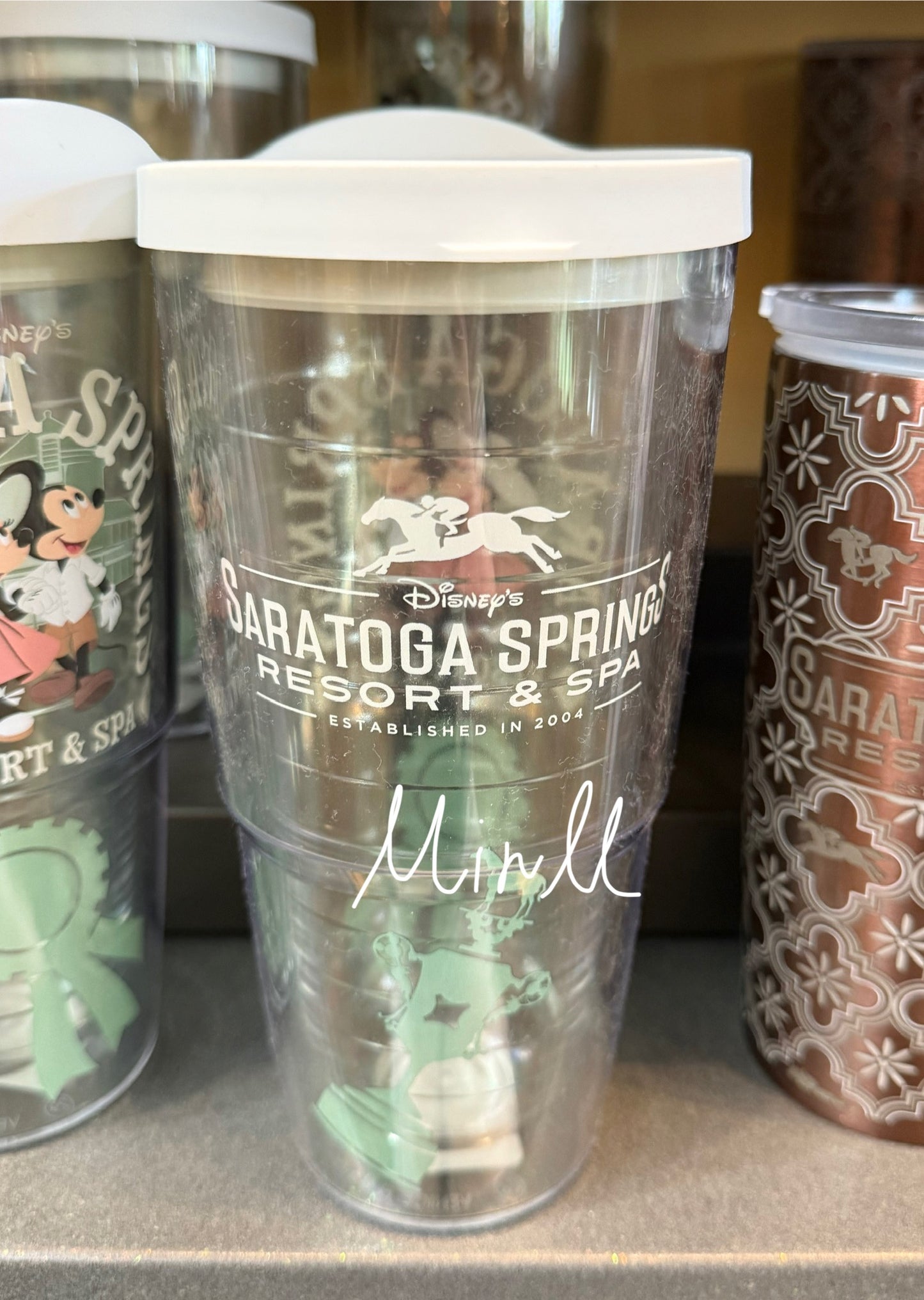 【Tervis】Walt Disney World Saratoga Springs Resort&Spa Plastic Tumbler