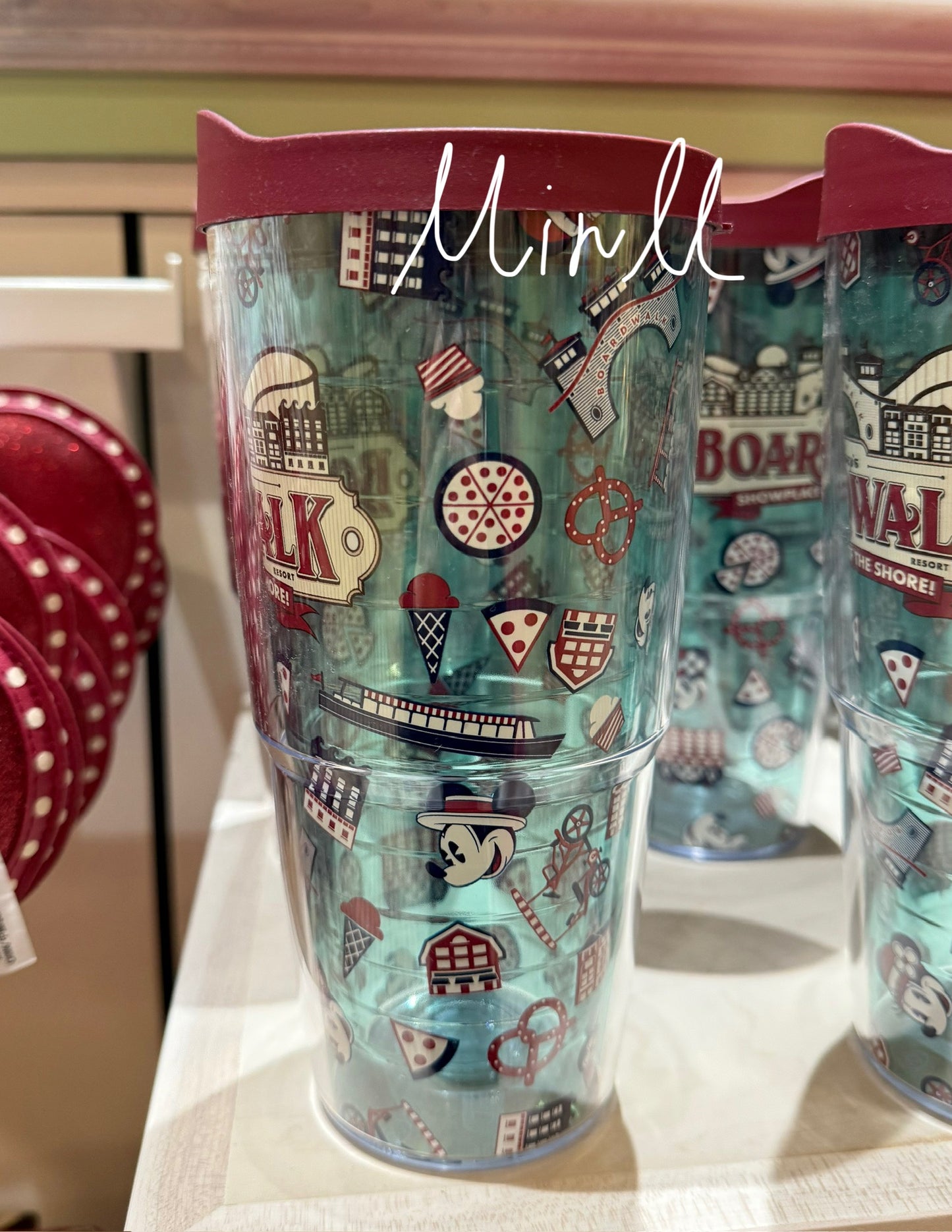 【Tervis】Walt Disney World Boardwalk Resort Plastic Tumbler