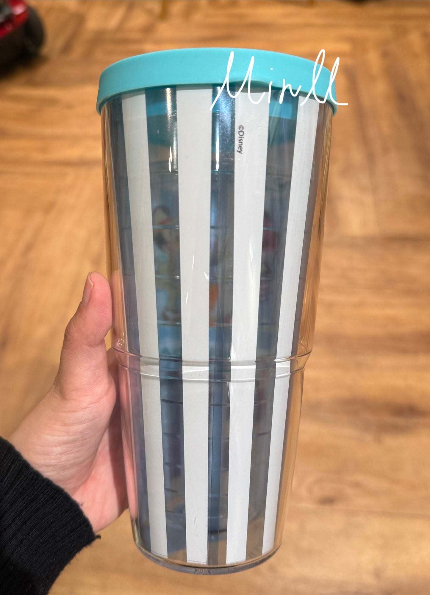 【Tervis】Walt Disney World Beach Club Resort Plastic Tumbler