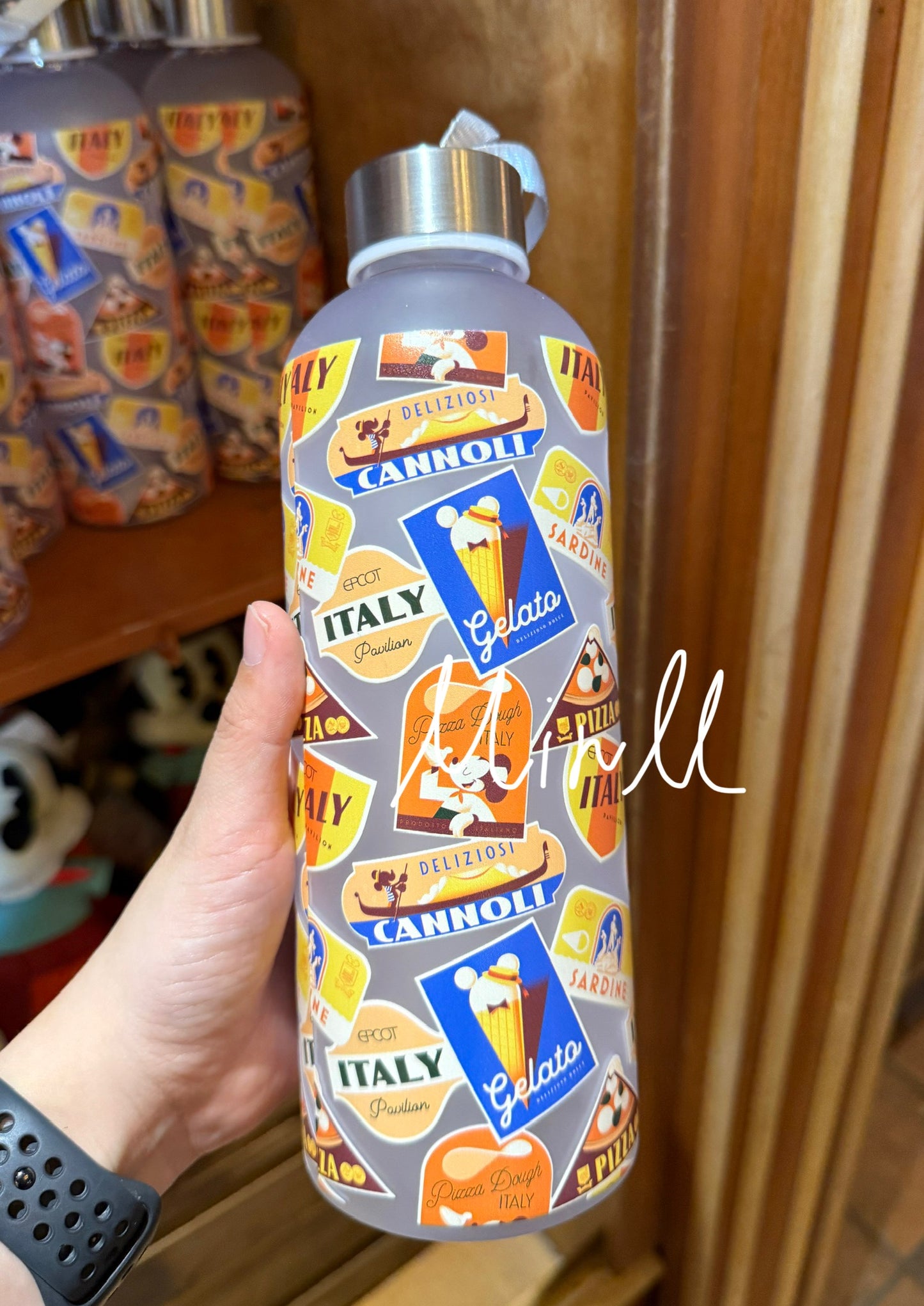 Disney Parks Exclusive Walt Disney World Italy Mickey Mouse Water Bottle