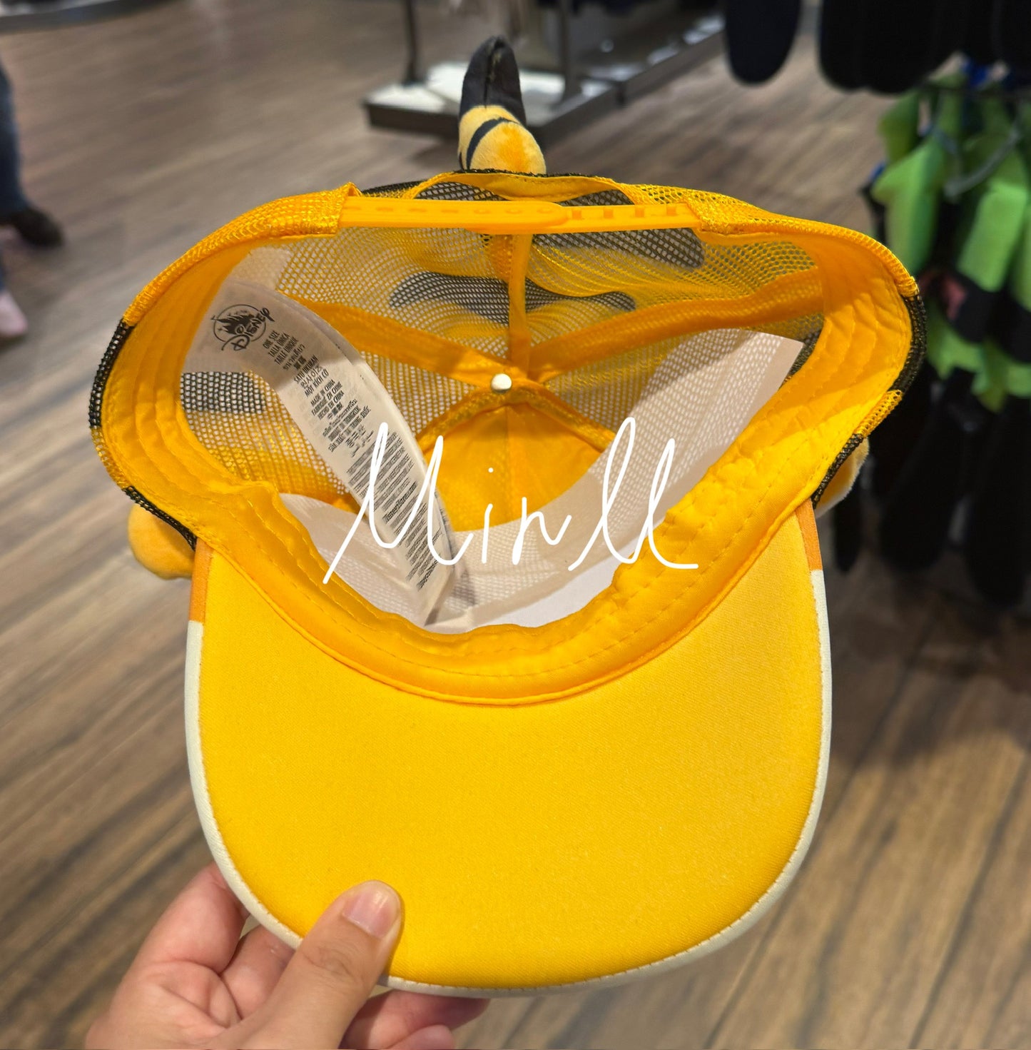 Walt Disney World Tigger Baseball Cap For Adults Winnie the Pooh