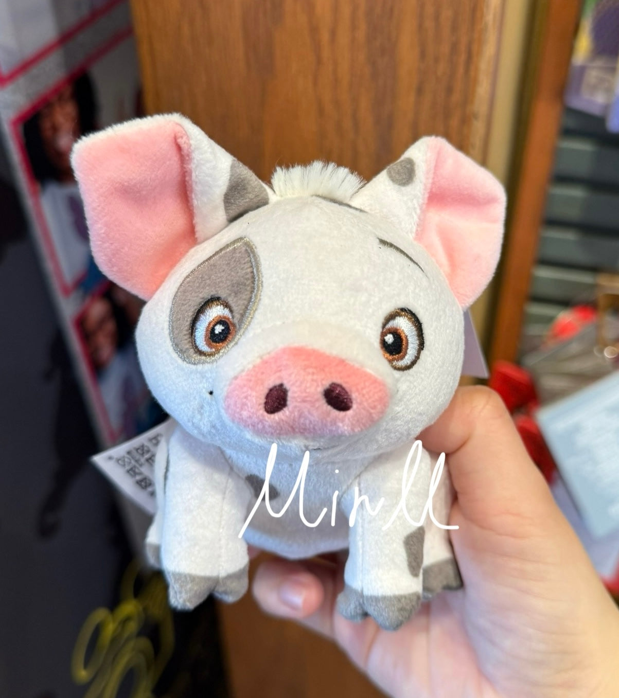 Disney Parks Exclusive Disney Characters Plush Keychain Walt Disney World