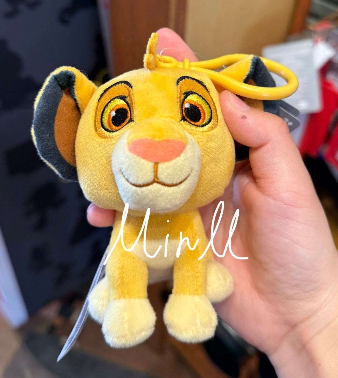 Disney Parks Exclusive Disney Characters Plush Keychain Walt Disney World